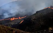 Kebakaran Hutan Maut Sepanyol Menunjukkan Tanda-Tanda Reda