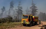 Kebakaran hutan melanda selatan Perancis, 3,000 penduduk dipindahkan