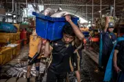 Kehidupan di Pasar Ikan Yangon: Bertahan di Tengah Perang Saudara Myanmar