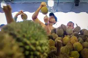Kejatuhan Harga Durian Subur Tradisi Berkongsi dan Bermasyarakat