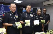 Kereta datuk jadi stor dadah: 8 ditahan termasuk remaja 16 tahun di JB