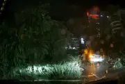 Lelaki maut selepas pokok tumbang timpakan kereta di Jalan Tun Razak