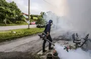 Malaysia catat 42,848 kes denggi, 34 kematian setakat ini, kata KKM