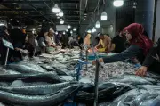 Malaysia-Thailand dalam perbincangan teknikal atasi isu perdagangan siakap dan udang