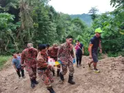 Pekerja Tebang Pokok Di Sabah Alami Kecederaan Kepala Parah