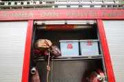 Pemandu Malaysia selamat terjun lima meter selepas langgar anak gajah di Mersing