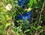 Pemburuan di Hutan Sabah Berakhir dengan Kematian, Dua Rakan Disiasat