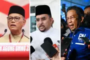 Pemimpin Umno tolak cadangan Hamzah Zainudin untuk nama 'Perikatan Barisan Nasional'