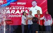 Pemuda Umno Johor soal sumber dana janji manifesto PH