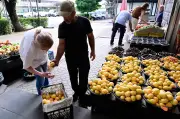 Perdagangan Rusia bentuk semula industri aprikot ikonik Armenia