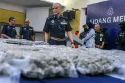 Polis Selangor rampas ganja RM13.34 juta, tumpaskan empat sindiket