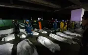 Senarai Kebakaran Maut Terburuk di Thailand dari 1993 hingga 2026