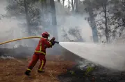 Situasi Kebakaran Hutan di Perancis Sangat Buruk, Menteri Dalam Negeri Beri Amaran