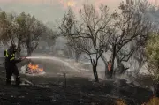 Tiga Anggota Bomba Maut dalam Kebakaran Hutan Greece Akibat Angin Kencang