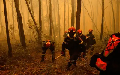 Kebakaran Hutan Greece Merebak, 12,000 Hektar Terbakar