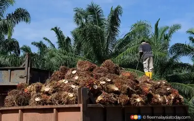 Perdagangan Sabah 2025 cecah RM105.5 bilion, lebihan dagangan susut