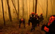 Kebakaran Hutan Greece Merebak, 12,000 Hektar Terbakar