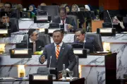 MB Selangor gesa penguatkuasaan anjing liar tanpa kekejaman selepas kematian Rocky